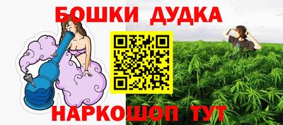 дживик Лесосибирск