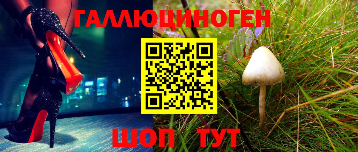Псилоцибиновые грибы Psilocybine cubensis  Вход с VPN  где купить   Зима 