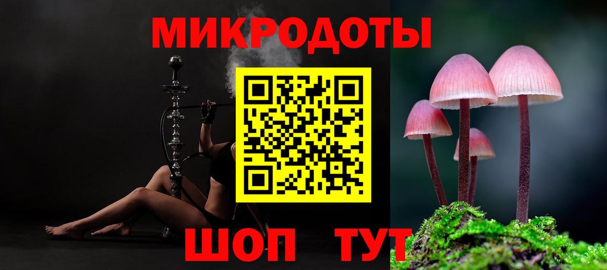 Галлюциногенные грибы Cubensis Зима