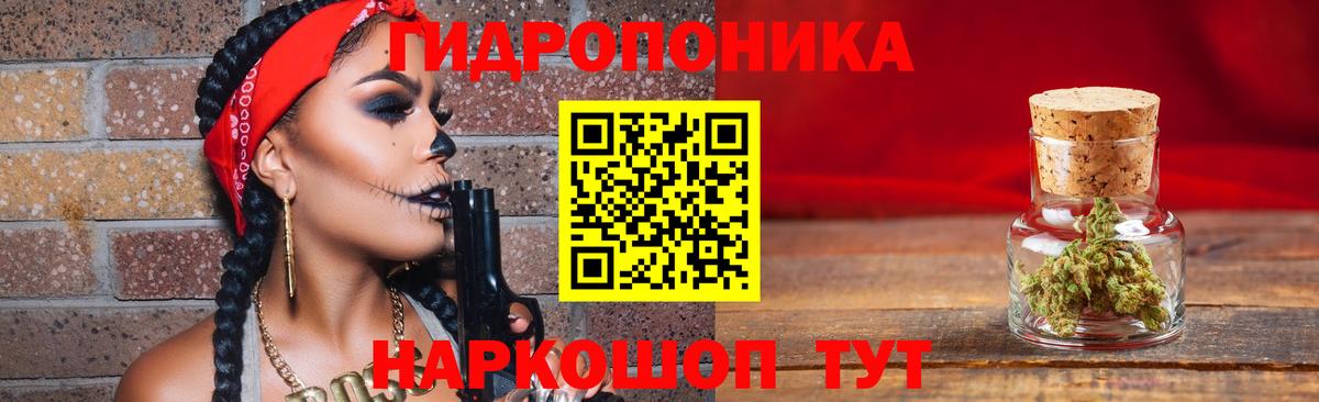 Бошки марихуана AK-47  Вход с VPN  Зима  Канабис план 